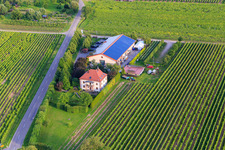 Vue aérienne de Villa Hochdörffer - Domaine viticole et maison d'hôtes à le quartier Nußdorf in Landau in der Pfalz dans le département Rhénanie-Palatinat, Allemagne