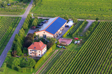 Vue aérienne de Villa Hochdörffer - Domaine viticole et maison d'hôtes à le quartier Nußdorf in Landau in der Pfalz dans le département Rhénanie-Palatinat, Allemagne