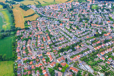 Vue aérienne de Rue Rheingönnheimer à Altrip dans le département Rhénanie-Palatinat, Allemagne