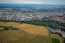 Vue aérienne de BASF de l'ouest à le quartier Friesenheim in Ludwigshafen am Rhein dans le département Rhénanie-Palatinat, Allemagne