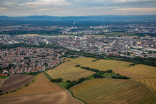 Quartier Oppau in Ludwigshafen am Rhein dans le département Rhénanie-Palatinat, Allemagne hors des airs