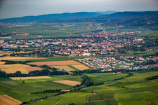 Vue aérienne de Du nord à le quartier Asselheim in Grünstadt dans le département Rhénanie-Palatinat, Allemagne