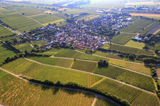 Vue oblique de Guntersblum dans le département Rhénanie-Palatinat, Allemagne