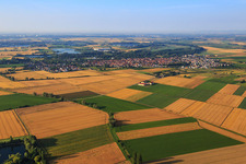 Vue aérienne de Vue du nord à Gimbsheim dans le département Rhénanie-Palatinat, Allemagne