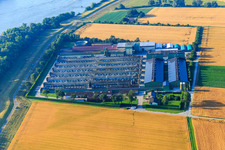 Vue aérienne de Usine d'engrais hego GmbH sur le barrage du Rhin à Gimbsheim dans le département Rhénanie-Palatinat, Allemagne