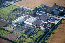 Vue aérienne de Zones de toit en verre dans les rangées de serres pour la floriculture du Lindenhof à le quartier Auerbach in Bensheim dans le département Hesse, Allemagne