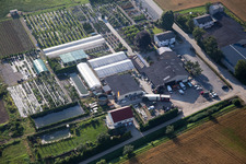 Vue aérienne de Zones de toit en verre dans les rangées de serres pour la floriculture du Lindenhof à le quartier Auerbach in Bensheim dans le département Hesse, Allemagne