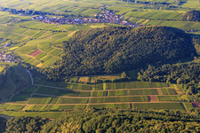 Vue aérienne de Keshdebush à Ranschbach dans le département Rhénanie-Palatinat, Allemagne