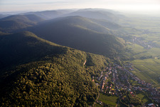 Vue aérienne de Vignobles sur le Haardtrand à Frankweiler dans le département Rhénanie-Palatinat, Allemagne