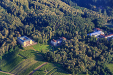 Vue aérienne de Château Villa Ludwigshöhe, vinification Ludwigshöhe et Association de football du sud-ouest de l'Allemagne eV à Edenkoben dans le département Rhénanie-Palatinat, Allemagne
