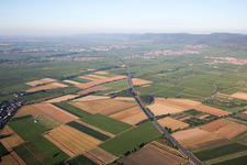 Vue aérienne de A65 à Neustadt an der Weinstraße dans le département Rhénanie-Palatinat, Allemagne