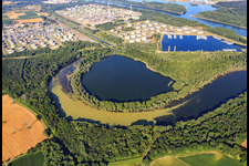 Vue aérienne de Vieux Rhin, Petit Lac de Constance et Pfeifer Baggersee à Olhafen Karlsruhe à le quartier Eggenstein in Eggenstein-Leopoldshafen dans le département Bade-Wurtemberg, Allemagne