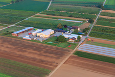 Photographie aérienne de Jardin du fermier à Winden dans le département Rhénanie-Palatinat, Allemagne