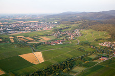 Vue aérienne de Quartier Oberhofen in Pleisweiler-Oberhofen dans le département Rhénanie-Palatinat, Allemagne