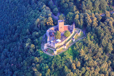 Vue aérienne de Château de Landeck à Klingenmünster dans le département Rhénanie-Palatinat, Allemagne