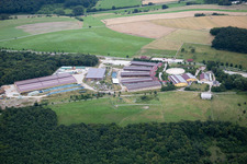 Vue aérienne de Centre équestre - centre équestre - écuries L'écurie - salon Hobstätterhof à Einöllen dans le département Rhénanie-Palatinat, Allemagne