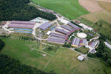 Vue aérienne de Centre équestre - centre équestre - écuries L'écurie - salon Hobstätterhof à Einöllen dans le département Rhénanie-Palatinat, Allemagne