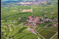Terrain de golf à Dackenheim dans le département Rhénanie-Palatinat, Allemagne d'un drone
