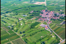 Terrain de golf à Dackenheim dans le département Rhénanie-Palatinat, Allemagne vu d'un drone