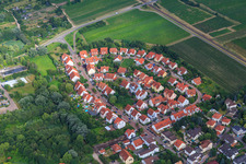 Vue aérienne de Nouvelle zone de développement à den Bohngärten à Freinsheim dans le département Rhénanie-Palatinat, Allemagne
