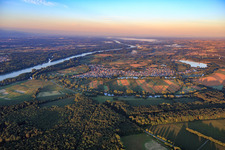 Vue aérienne de Vue du Rhin et du village le matin depuis le nord à le quartier Neuburg in Neuburg am Rhein dans le département Rhénanie-Palatinat, Allemagne