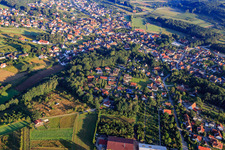 Vue aérienne de Pépinière Schmidtlein Hans à Effeltrich dans le département Bavière, Allemagne