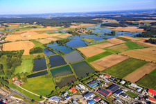 Vue aérienne de Paysage d'étangs à poissons de Franconie à le quartier Oberlindach in Weisendorf dans le département Bavière, Allemagne