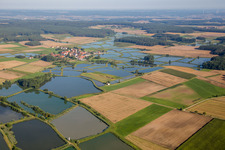 Vue aérienne de Systèmes d'étangs pour l'élevage de carpes dans la Große Bodenweier à Weisendorf dans le département Bavière, Allemagne