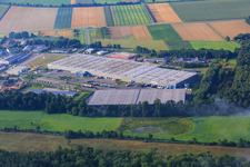 Vue aérienne de Groupe logistique ZUFALL - Filiale Kandel et Groupe STS à le quartier Minderslachen in Kandel dans le département Rhénanie-Palatinat, Allemagne