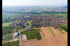 Vue aérienne de Vue des rues et des maisons dans les quartiers résidentiels à Scherwiller dans le département Bas Rhin, France