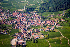 Vue aérienne de Champs agricoles et terres agricoles à Kintzheim dans le département Bas Rhin, France
