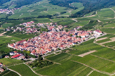 Vue aérienne de Vignobles à Saint-Hippolyte dans le département Haut-Rhin, France