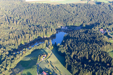 Vue aérienne de Zones riveraines boisées sur le lac Ebnisee à le quartier Ebni in Kaisersbach dans le département Bade-Wurtemberg, Allemagne