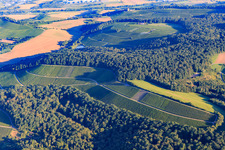 Vue aérienne de Vignobles et forêt à le quartier Schmidhausen in Beilstein dans le département Bade-Wurtemberg, Allemagne