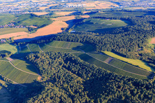 Vue aérienne de Vignobles et forêt à le quartier Schmidhausen in Beilstein dans le département Bade-Wurtemberg, Allemagne
