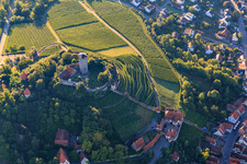 Vue aérienne de Fauconnerie au château de Hohenbeilstein sur les terrasses des vignobles et la vieille ville à Beilstein dans le département Bade-Wurtemberg, Allemagne