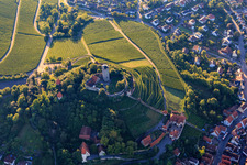 Vue aérienne de Fauconnerie au château de Hohenbeilstein sur les terrasses des vignobles et la vieille ville à Beilstein dans le département Bade-Wurtemberg, Allemagne