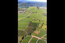 Photographie aérienne de Vignobles à Bönnigheim dans le département Bade-Wurtemberg, Allemagne