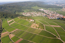 Vue aérienne de Quartier Treffentrill in Cleebronn dans le département Bade-Wurtemberg, Allemagne