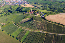 Vue oblique de Château de Ravensburg (Sulzfeld) le matin sur une colline avec des vignes à Sulzfeld dans le département Bade-Wurtemberg, Allemagne