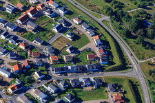 Vue aérienne de Contournement et bague d'oiseau à Jockgrim dans le département Rhénanie-Palatinat, Allemagne