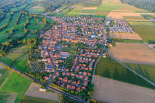 Vue aérienne de Vue d'ensemble du village depuis l'ouest à Steinweiler dans le département Rhénanie-Palatinat, Allemagne