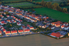 Vue aérienne de Au champ de maïs de l'ouest à Kandel dans le département Rhénanie-Palatinat, Allemagne