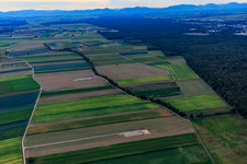 Photographie aérienne de Chantier de construction à Hatzenbühl dans le département Rhénanie-Palatinat, Allemagne