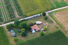 Vue aérienne de Festin au grill hut Impflingen à Impflingen dans le département Rhénanie-Palatinat, Allemagne