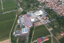 Vue aérienne de Adam Theis GmbH - légumes frais depuis 1875 à le quartier Niederhochstadt in Hochstadt dans le département Rhénanie-Palatinat, Allemagne