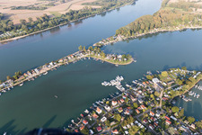 Vue aérienne de Zone des maisons de week-end et zones riveraines de l'Eicher See sur le Rhin dans le district d'Eicher See à Eich dans le département Rhénanie-Palatinat, Allemagne