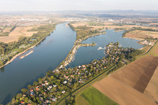 Photographie aérienne de Zone des maisons de week-end et zones riveraines de l'Eicher See sur le Rhin dans le district d'Eicher See à Eich dans le département Rhénanie-Palatinat, Allemagne
