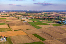 Photographie aérienne de Quartier Geinsheim in Trebur dans le département Hesse, Allemagne