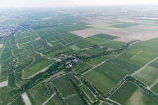 Vue aérienne de Walheimer Graben à le quartier Hangen-Wahlheim in Alsheim dans le département Rhénanie-Palatinat, Allemagne